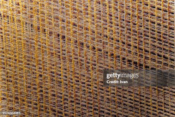 full frame of texture, natural linen raw uncolored textured sacking burlap background. hessian sack canvas woven texture - yarn art stock-fotos und bilder