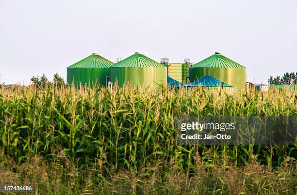 biogas-industria - combustible biológico fotografías e imágenes de stock