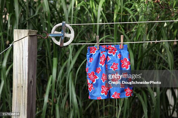 swimsuit on clothesline - swimming trunks stock pictures, royalty-free photos & images