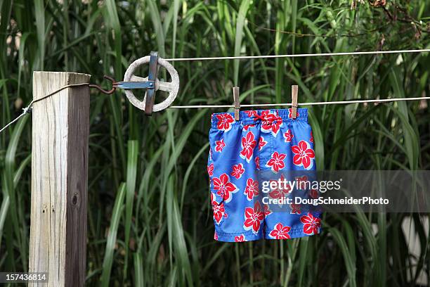 swimsuit on clothesline - badkläder bildbanksfoton och bilder