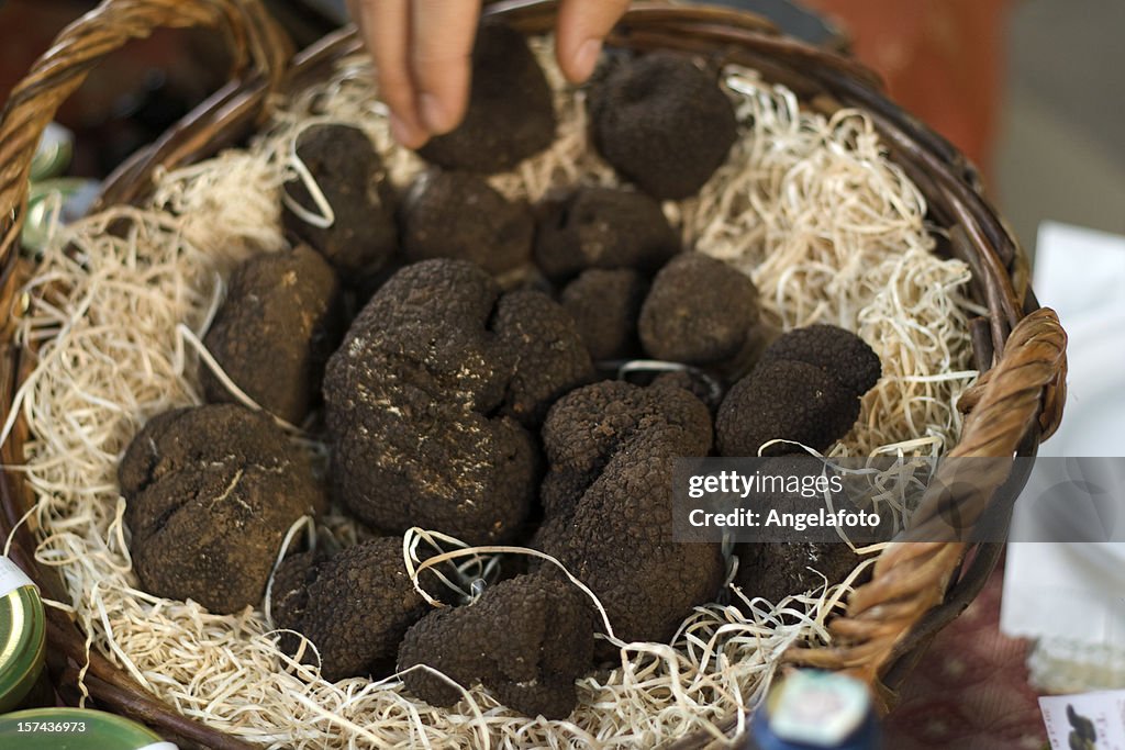 Black Truffles in a Basket