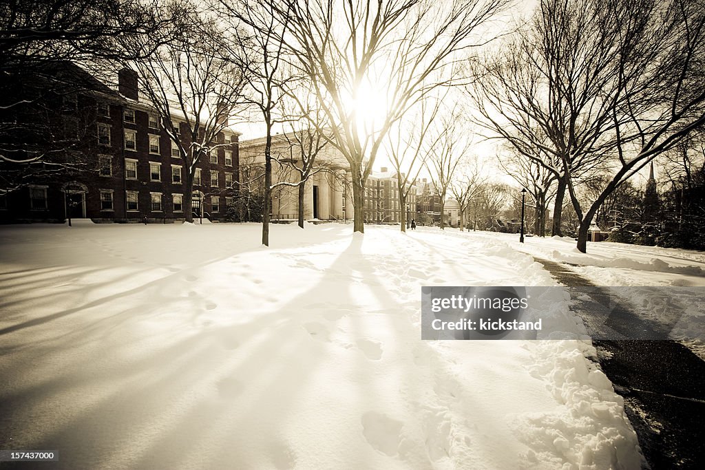 Brown University im winter