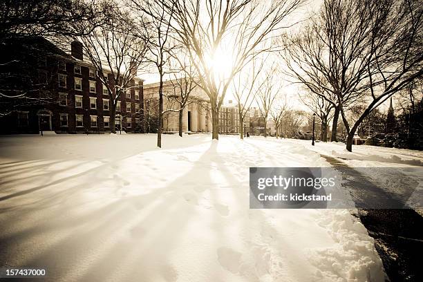 universidade de brown no inverno - brown imagens e fotografias de stock