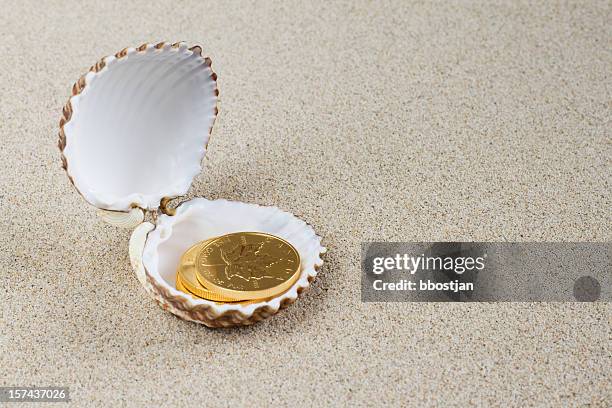 Shell Gold Coin Gold Maple Leaf Coin Photos and Premium High Res Pictures - Getty Images