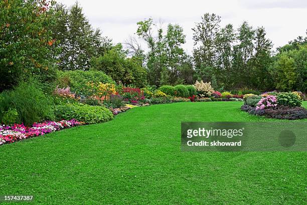 vert pelouse dans un jardin paysager élégant - flower bed photos et images de collection