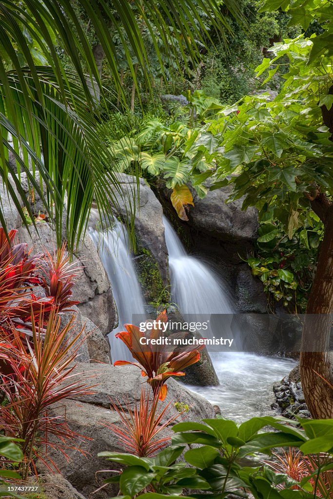 Cascata sull'isola grande di Hawaii