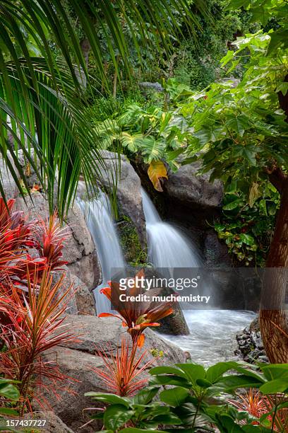 cachoeira na grande ilha do havaí - water fall hawaii - fotografias e filmes do acervo
