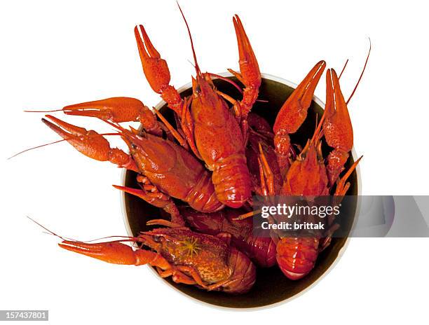 bowl of red crayfish. swedish traditional feast. isolated on white. - crayfish stock pictures, royalty-free photos & images