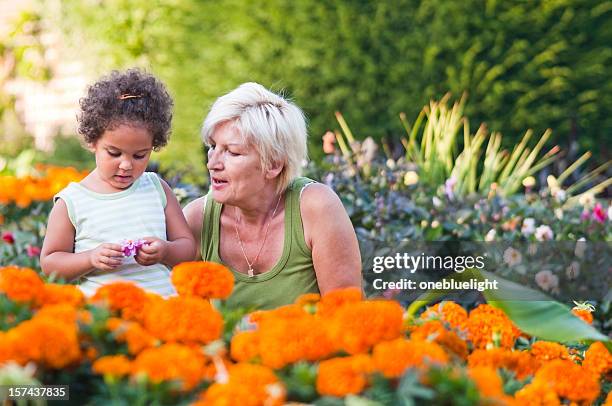 abuela y granddaughter (serie - fond orange fotografías e imágenes de stock