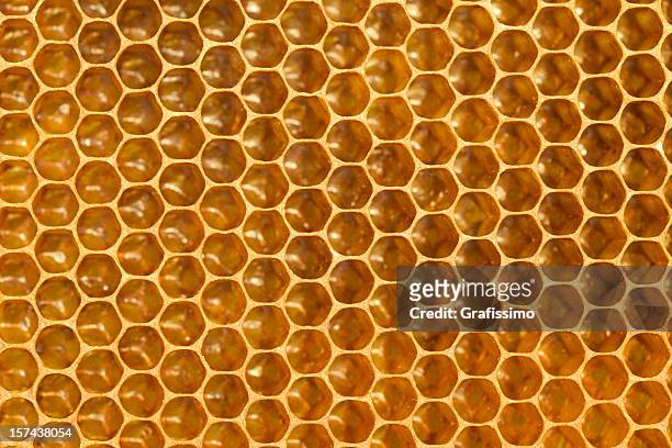 detail of honeycomb - honingraat stockfoto's en -beelden