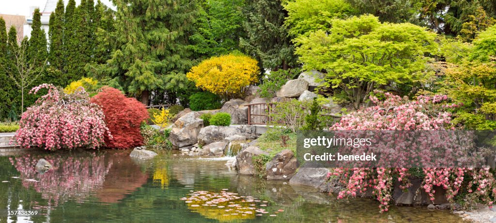 Japanese Garden with pond, Kelowna, British Columbia, Canada