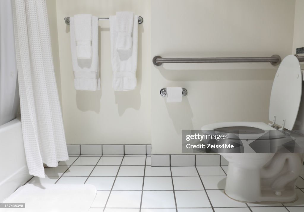 Bathroom with handicap fixture in white