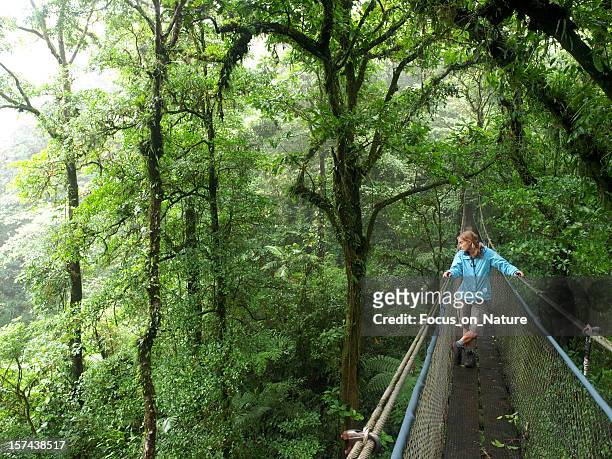 hanging bridge - monteverde cloud forest reserve stock pictures, royalty-free photos & images