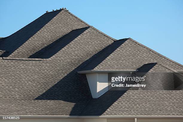 architectural asphalt shingle rooftop with morning dove birds - wood shingle stock pictures, royalty-free photos & images