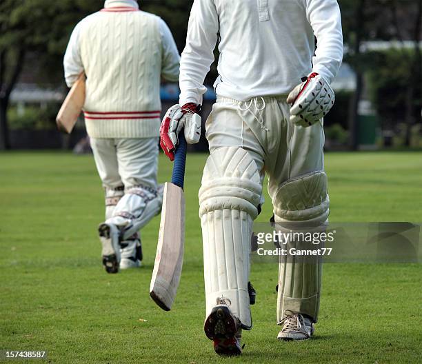 changing batsmen in a cricket match - cricket bat stock pictures, royalty-free photos & images