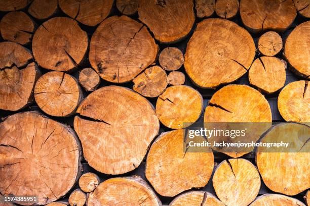Wood Block Rounded 971 Round Wood Block Stock Photos, High-Res Pictures, and Images ...