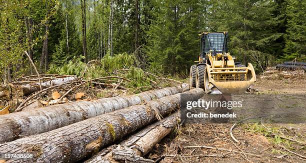 Deforestation Machine Photos and Premium High Res Pictures - Getty Images