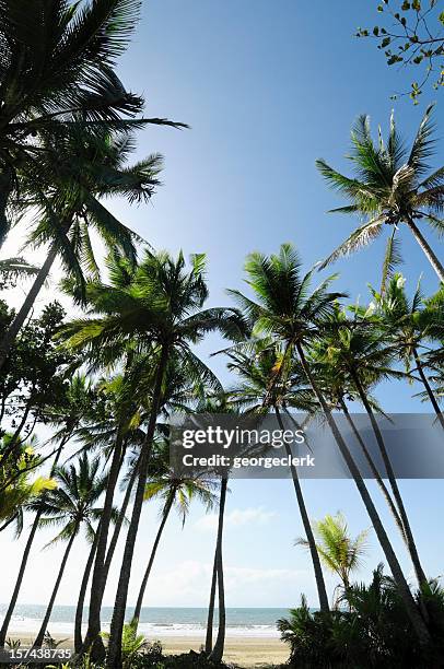 idilliaca spiaggia tropicale - mission beach queensland foto e immagini stock