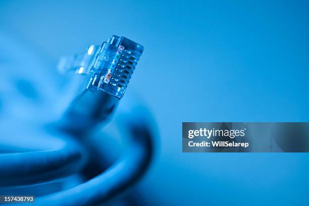 cabo de rede - ficha de ligação de rede imagens e fotografias de stock