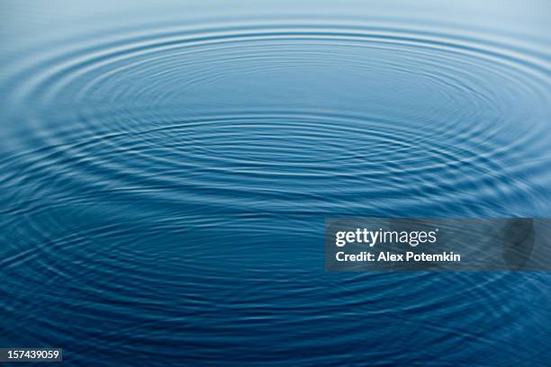 rings on the water surface - undulating stock pictures, royalty-free photos & images