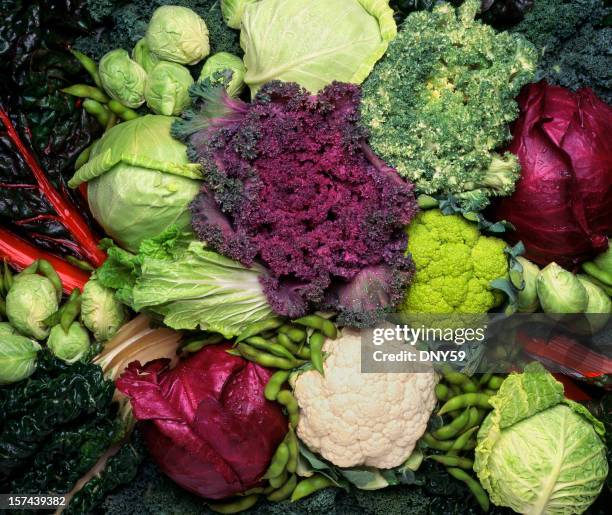 grouping of cruciferous vegetables - cruciferae stockfoto's en -beelden