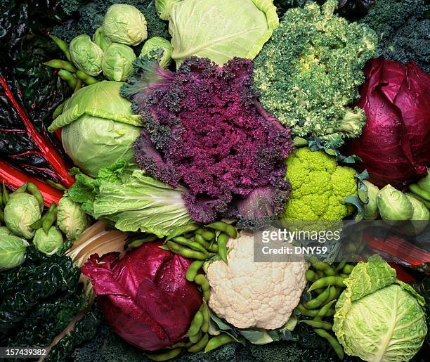 grouping of cruciferous vegetables - crucifers stock pictures, royalty-free photos & images
