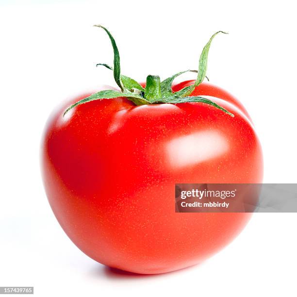 frische tomaten, isoliert auf weißem hintergrund - tomate freisteller stock-fotos und bilder