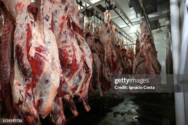 slaughterhouse - fleischproduktion stock-fotos und bilder