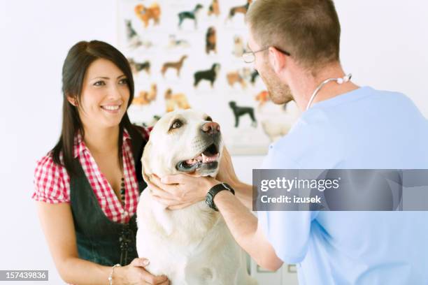 tierarzt mit hund und besitzer - labrador white background stock-fotos und bilder