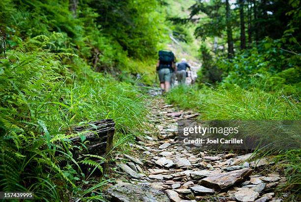 hikers hiking uphill on trail in the smoky mountains - hiking appalachian trail stock pictures, royalty-free photos & images