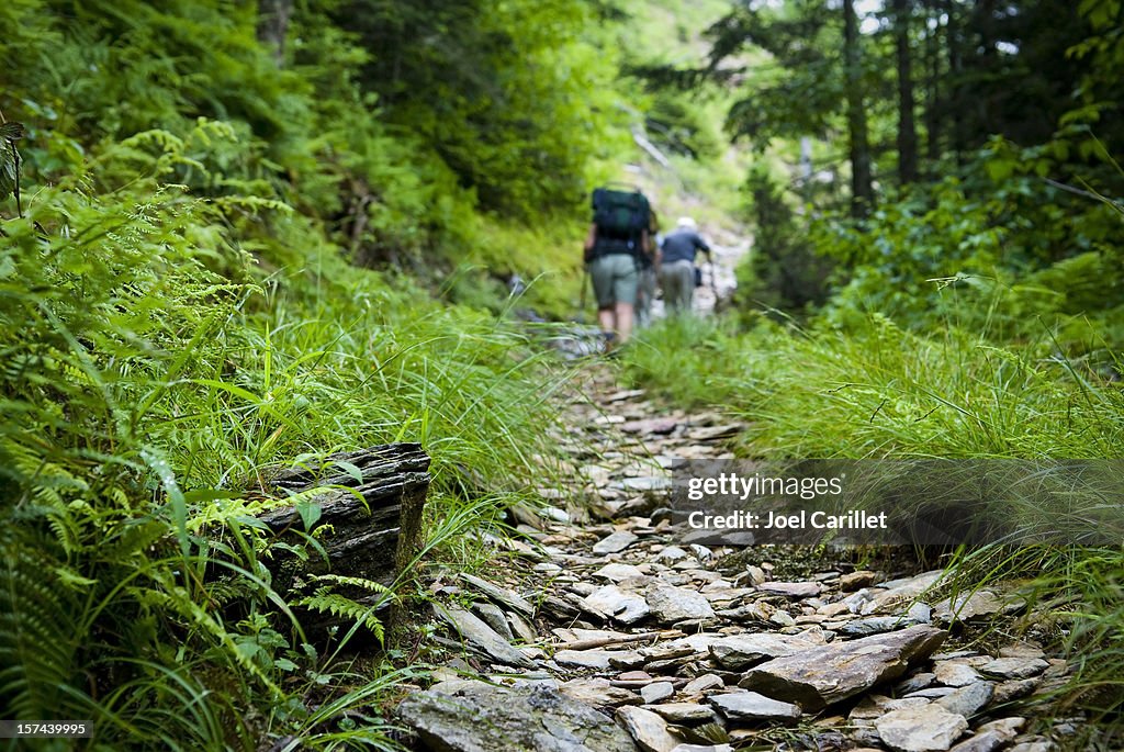 Caminhantes caminhadas, íngremes na trilha nas Smoky Mountains