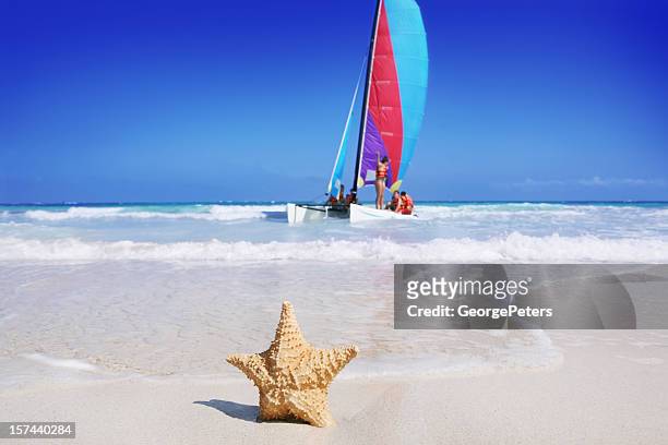 beach, starfish and sailboat - cancun catamaran stock pictures, royalty-free photos & images