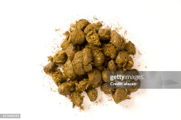 horse manure - animal dung stock pictures, royalty-free photos & images