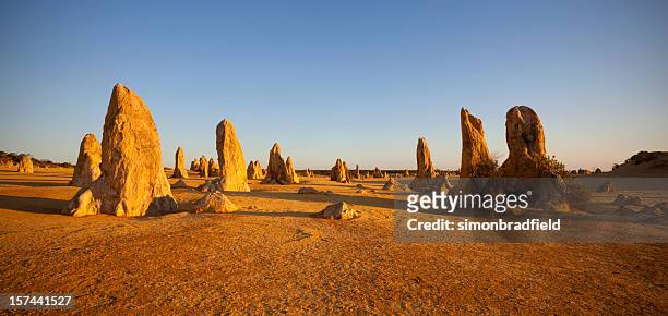 the limestone formations in the pinnacles in australia - pinnacle stockfoto's en -beelden