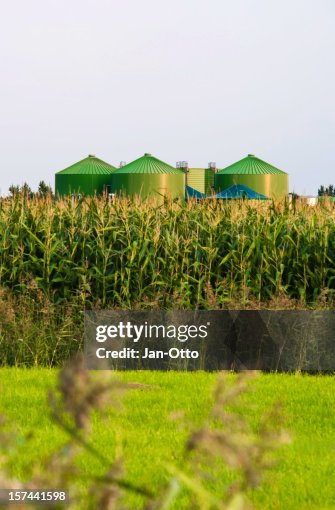 Biogas Plant Biogas Plant