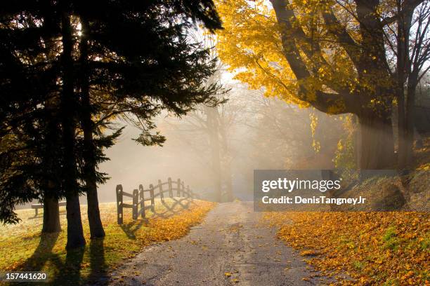 country road in autumn - berkshires massachusetts stock pictures, royalty-free photos & images