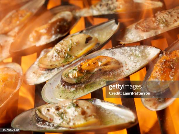 Grille Shell Fish Shellfish Grill Photos and Premium High Res Pictures - Getty Images