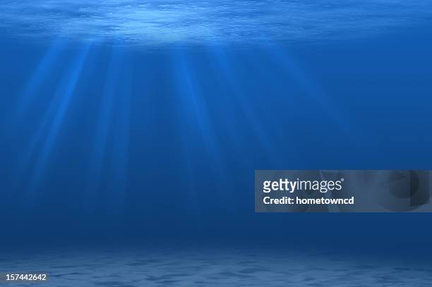 underwater scene with beams of sunlight streaming through - lowest stockfoto's en -beelden