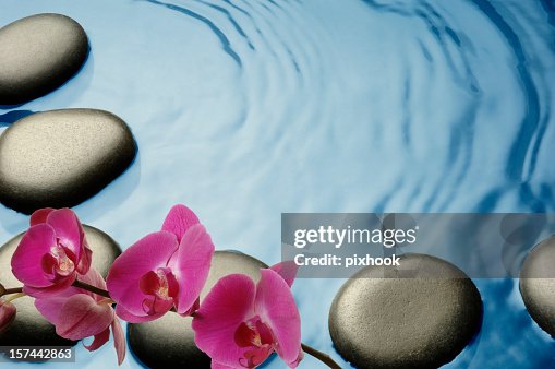 Tropical Spa Tropical Spa