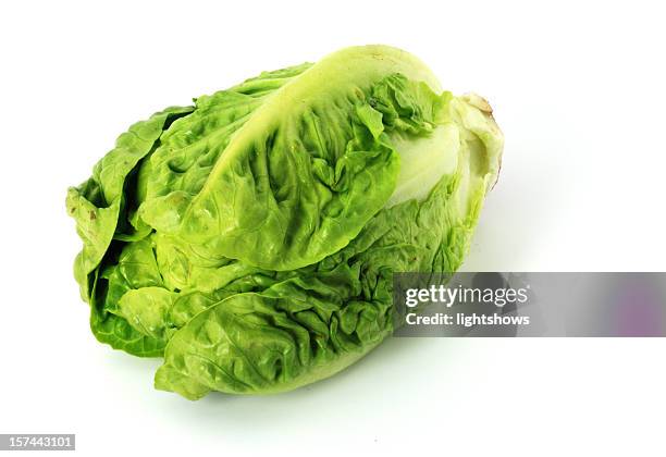 small lettuce (cos) - romaine lettuce stock pictures, royalty-free photos & images