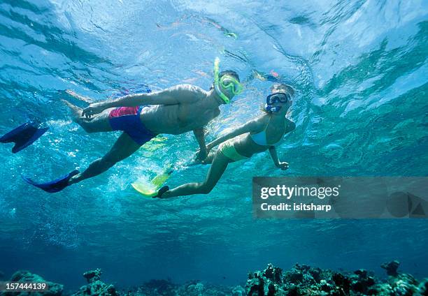 buceo con esnórquel - snorkeling fotografías e imágenes de stock