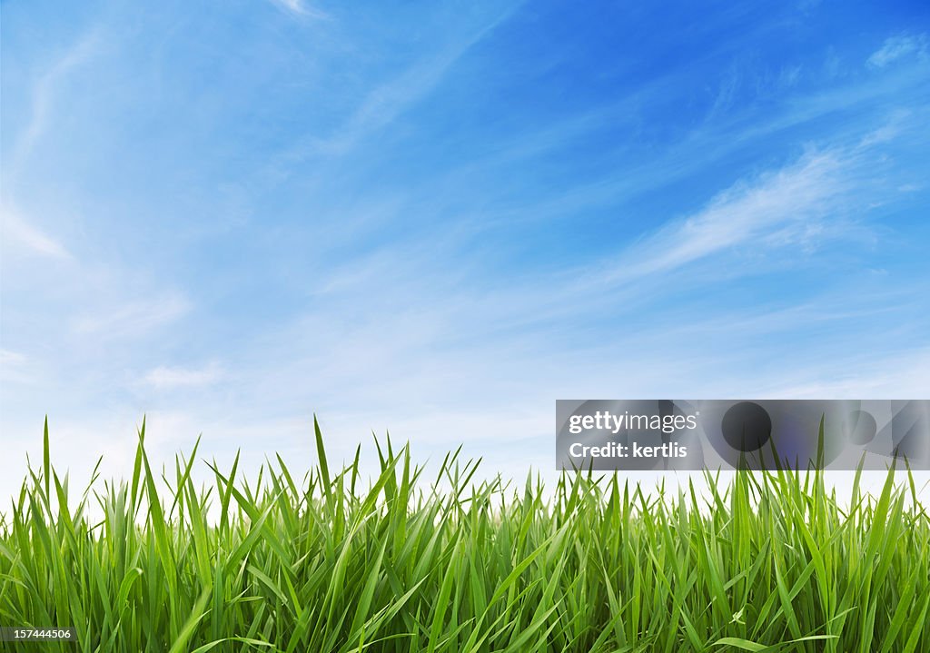 緑の芝生と空の XXXL 70 mpx