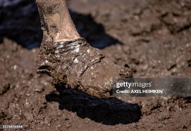 Close-up on the shoes of festival-goers wading through the mud on the grounds of the Wacken Open Air music festival on August 3, 2023 in Wacken,...