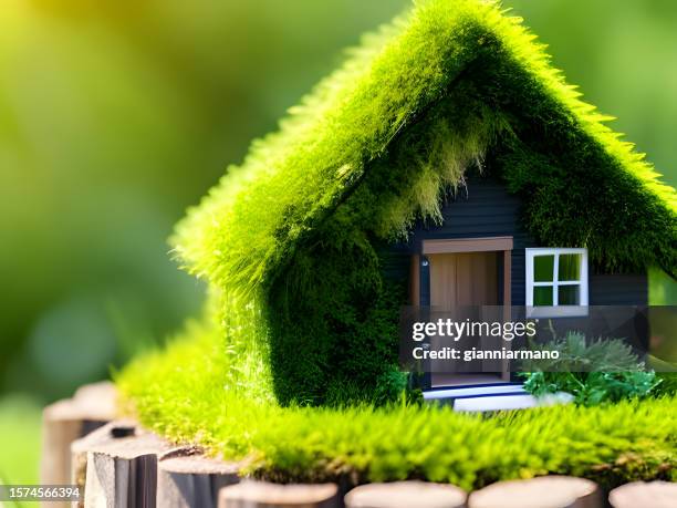 conceptual environmentally friendly eco house - architettura ecologica foto e immagini stock