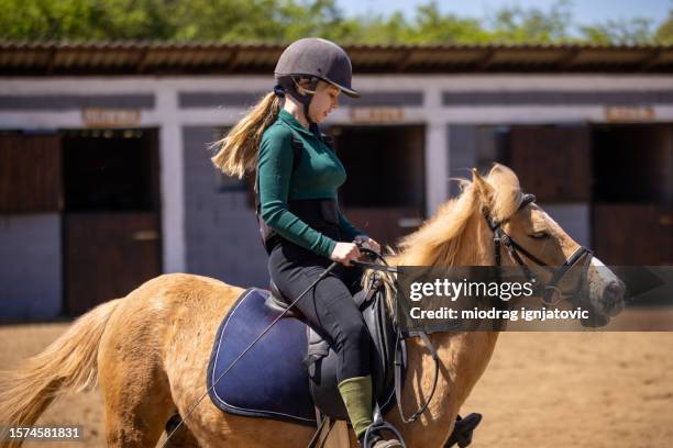 girl riding a small horse - rein stock pictures, royalty-free photos & images