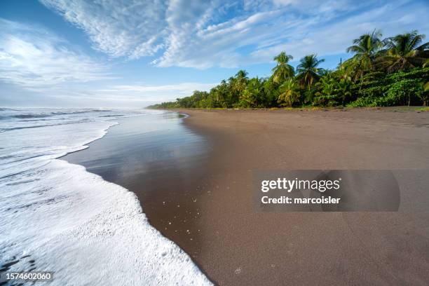 empty tropical beach, costa rica - caribbean sea stock pictures, royalty-free photos & images