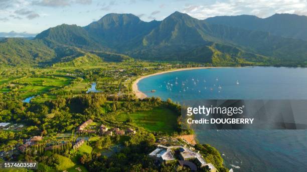 kauai hawaii - hawaii scenics stock pictures, royalty-free photos & images