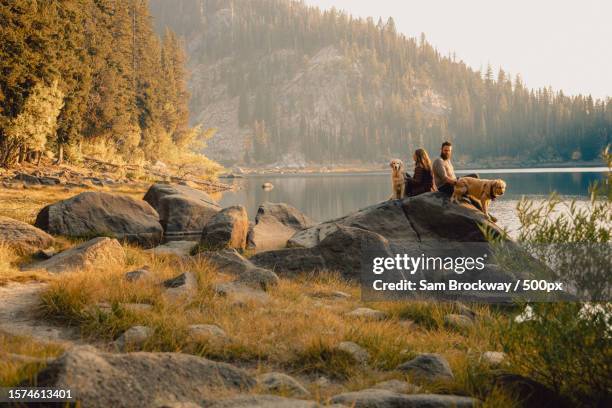 scenic view of young couple with pet golden retrievers enjoying family time while sitting on rocks against lake,mc call,idaho,united states,usa - idaho stock pictures, royalty-free photos & images