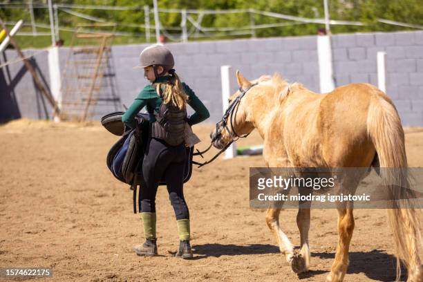 girl with her horse - kastanjebruin paardenkleur stockfoto's en -beelden