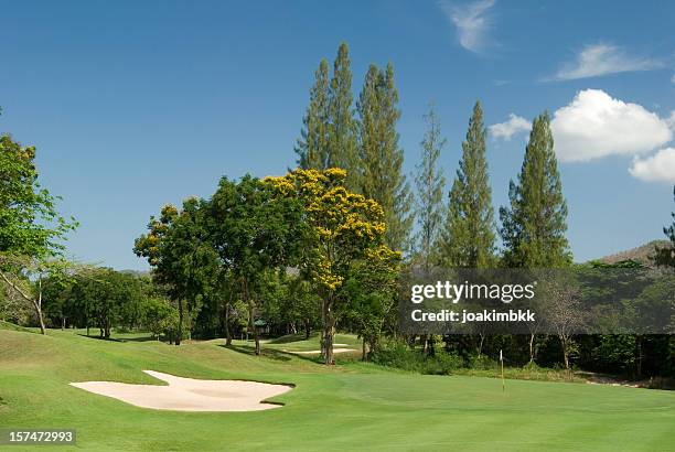 tropical golf course in thailand - hua hin thailand stockfoto's en -beelden